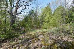 LOT 3 BALLANTRA DRIVE | Stone Mills Ontario | Slide Image Six
