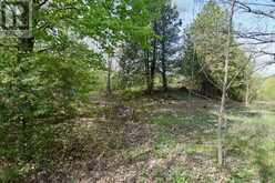 LOT 3 BALLANTRA DRIVE | Stone Mills Ontario | Slide Image Seven