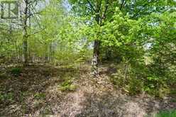 LOT 3 BALLANTRA DRIVE | Stone Mills Ontario | Slide Image Eight