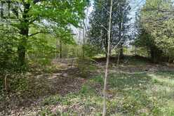 LOT 3 BALLANTRA DRIVE | Stone Mills Ontario | Slide Image Nine
