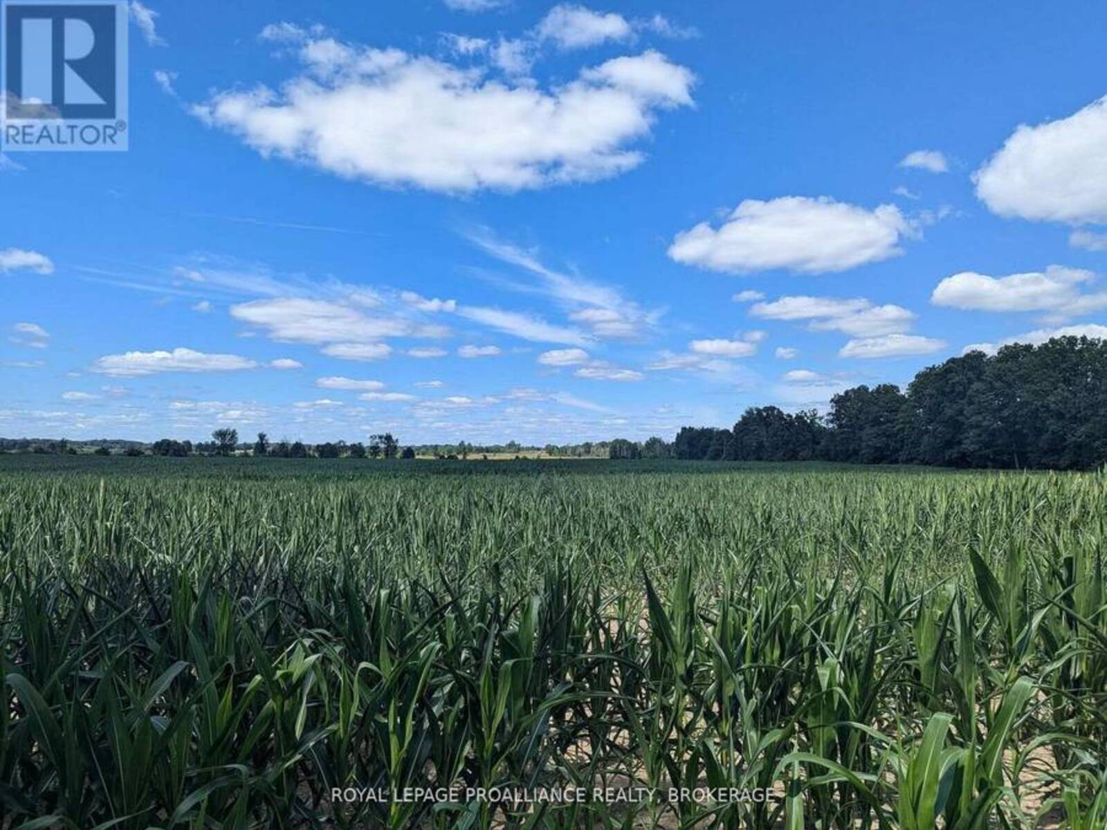 2622 4TH CONCESSION ROAD, Kingston, Ontario K0H 1Y0