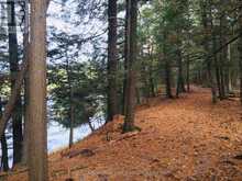 LOT 11 LONG REACH LANE | Leeds and the Thousand Islands Ontario | Slide Image Five