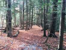 LOT 11 LONG REACH LANE | Leeds and the Thousand Islands Ontario | Slide Image Six