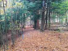 LOT 11 LONG REACH LANE | Leeds and the Thousand Islands Ontario | Slide Image Seven