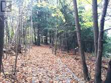 LOT 11 LONG REACH LANE | Leeds and the Thousand Islands Ontario | Slide Image Eight