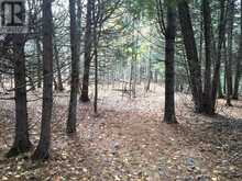 LOT 11 LONG REACH LANE | Leeds and the Thousand Islands Ontario | Slide Image Nine