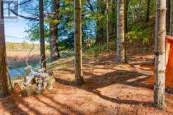 10874 CANOE LAKE ROAD | South Frontenac Ontario | Slide Image Thirteen