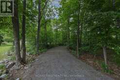 3886 HOLMES ROAD | Inverary Ontario | Slide Image Six