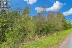 LOT 15 MARTIN DRIVE | Stone Mills Ontario | Slide Image Six