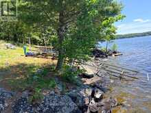 242B NORTH SHORE ROAD | Addington Highlands Ontario | Slide Image Thirty-nine