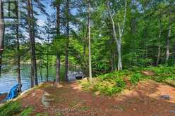 24853 EAGLE LAKE ROAD | South Frontenac Ontario | Slide Image Twenty-four