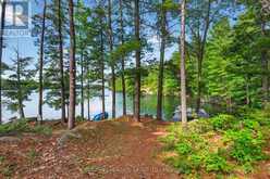 24853 EAGLE LAKE ROAD | South Frontenac Ontario | Slide Image Thirty-four