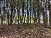 2220 SILVER ROCK LANE | South Frontenac Ontario | Slide Image Eighteen