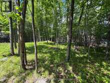 2220 SILVER ROCK LANE | South Frontenac Ontario | Slide Image Nine
