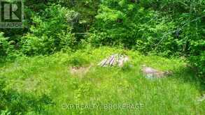 1142A POINT LANE | Central Frontenac Ontario | Slide Image Seventeen