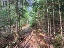 860 MAZINAW LAKE | Addington Highlands Ontario | Slide Image Three