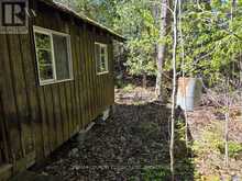 860 MAZINAW LAKE | Addington Highlands Ontario | Slide Image Seven