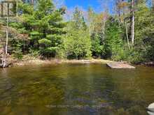 860 MAZINAW LAKE | Addington Highlands Ontario | Slide Image Fifteen