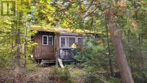 860 MAZINAW LAKE | Addington Highlands Ontario | Slide Image Four