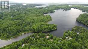 LOT 8 QUINTE CONSERVATION LANE | South Frontenac Ontario | Slide Image Ten