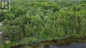 LOT 8 QUINTE CONSERVATION LANE | South Frontenac Ontario | Slide Image Nineteen