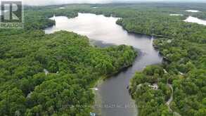 LOT 8 QUINTE CONSERVATION LANE | South Frontenac Ontario | Slide Image Eight