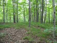 1881 ELM TREE ROAD | Arden Ontario | Slide Image Thirty-one