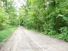 1881 ELM TREE ROAD | Arden Ontario | Slide Image Thirty-four