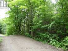1881 ELM TREE ROAD | Arden Ontario | Slide Image Thirty-five