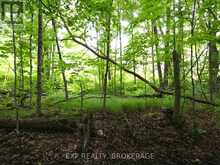 1931 ELM TREE ROAD | Arden Ontario | Slide Image Thirty