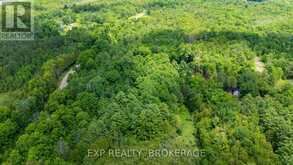 1931 ELM TREE ROAD | Arden Ontario | Slide Image Five