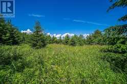 PT LT 18 FRONT ROAD | Loyalist Ontario | Slide Image Ten