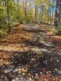 812 BUCK HOLLOW LANE | Leeds and the Thousand Islands Ontario | Slide Image Four
