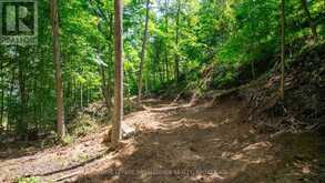 LOT 2 TRILLIUM LANE | Leeds and the Thousand Islands Ontario | Slide Image Sixteen
