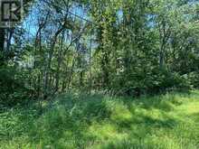 358 TOWNLINE ROAD | Greater Napanee Ontario | Slide Image Six