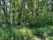 358 TOWNLINE ROAD | Greater Napanee Ontario | Slide Image Eight