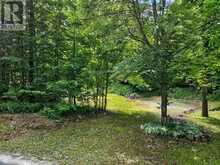 PT LT 18 CLEAR LAKE ROAD | Rideau Lakes Ontario | Slide Image Four