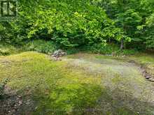 PT LT 18 CLEAR LAKE ROAD | Rideau Lakes Ontario | Slide Image Six