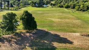 3920 COUNTY ROAD 14 | Stone Mills Ontario | Slide Image Two