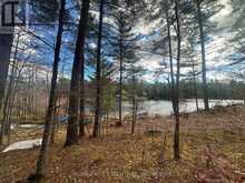 1457 OPEONGO ROAD | Central Frontenac Ontario | Slide Image Three