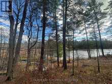 1457 OPEONGO ROAD | Central Frontenac Ontario | Slide Image Four