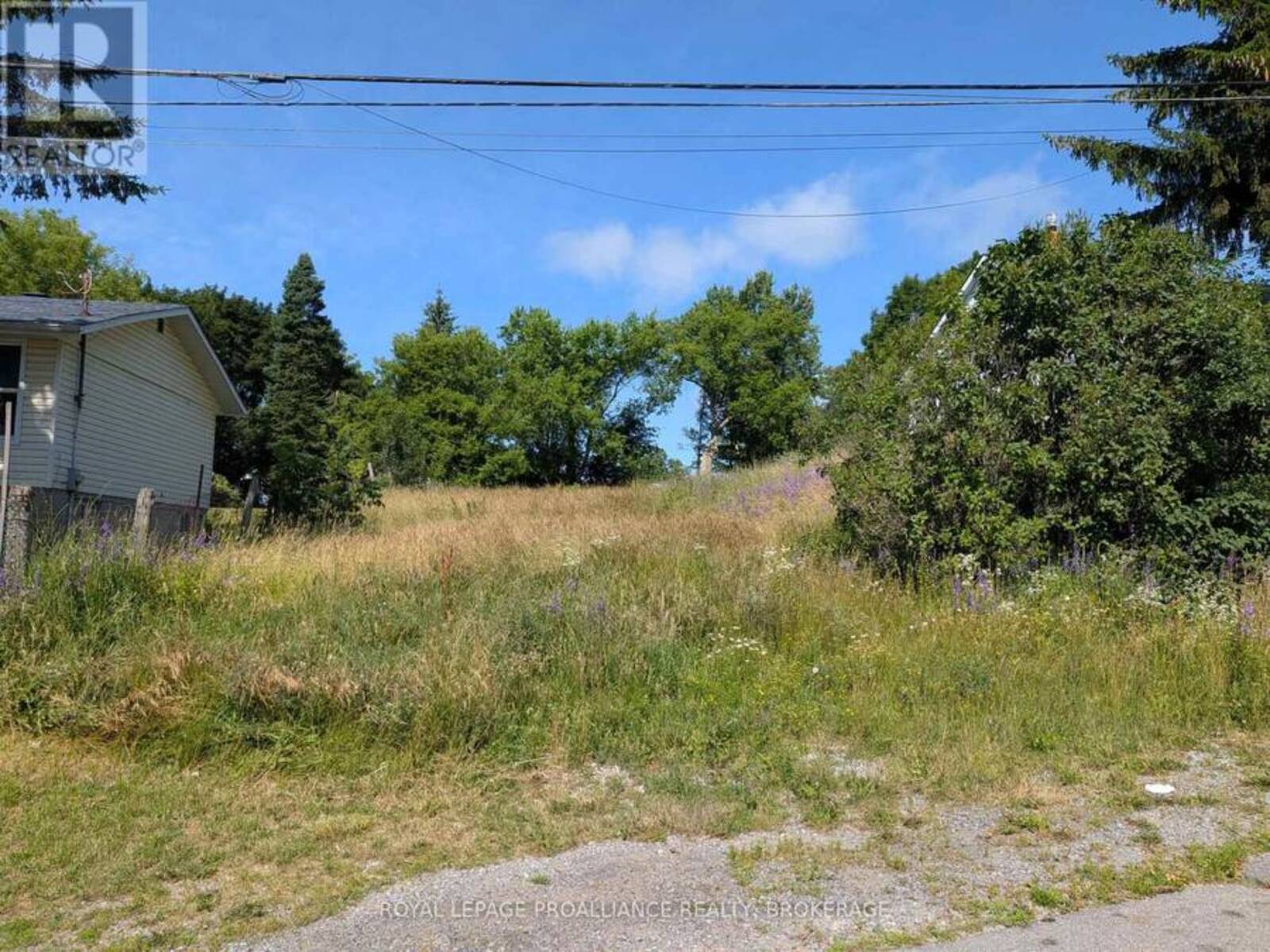 20 SHAW STREET, Kingston, Ontario K7K 4Y4