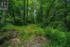 LOT 18 PART 1 TOWNLINE ROAD | Central Frontenac Ontario | Slide Image Ten