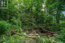 LOT 18 PART 1 TOWNLINE ROAD | Central Frontenac Ontario | Slide Image Eleven