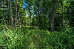 LOT 18 PART 1 TOWNLINE ROAD | Central Frontenac Ontario | Slide Image Seven
