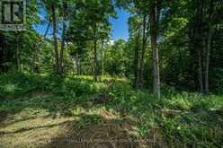 LOT 18 PART 1 TOWNLINE ROAD | Central Frontenac Ontario | Slide Image Eight