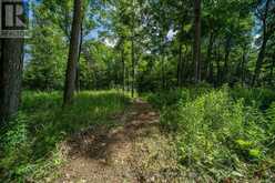 LOT 18 PART 1 TOWNLINE ROAD | Central Frontenac Ontario | Slide Image Nine