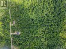 LOT 18, PART 3 TOWNLINE ROAD | Central Frontenac Ontario | Slide Image Six