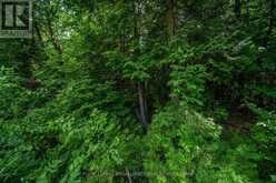 LOT 18, PART 3 TOWNLINE ROAD | Central Frontenac Ontario | Slide Image Ten