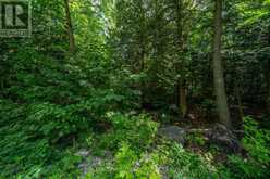 LOT 18, PART 3 TOWNLINE ROAD | Central Frontenac Ontario | Slide Image Eleven